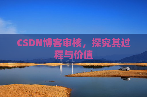 CSDN博客审核，探究其过程与价值